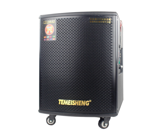 LOA KÉO TEMEISHENG GD1203