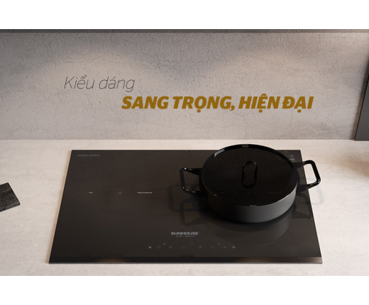 BẾP ĐÔI ĐIỆN TỪ SUNHOUSE SHB-DI01