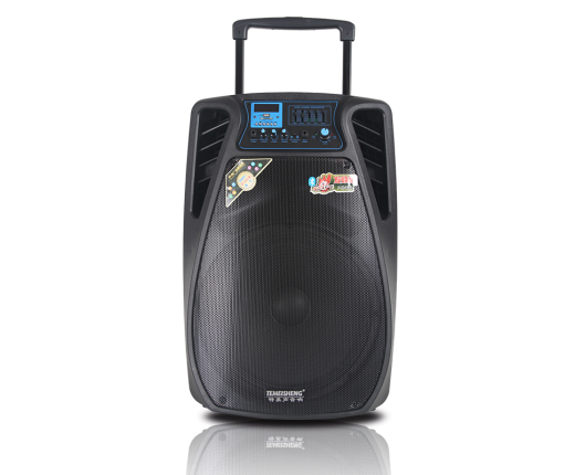 LOA KÉO TEMEISHENG SL-1502