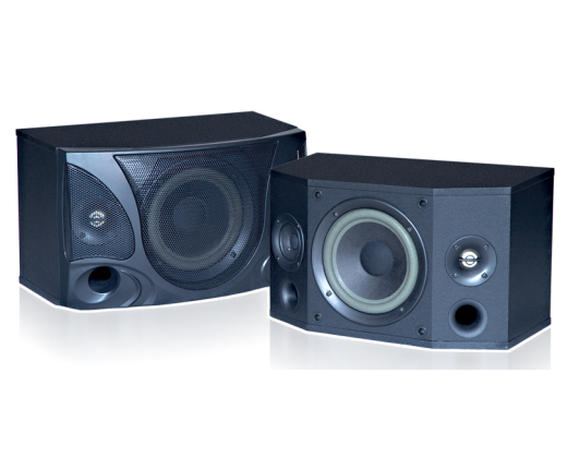 LOA RINTON RT-801