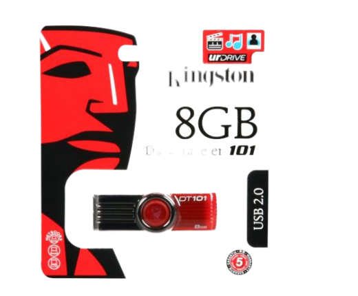 USB KINGSTON 8GB