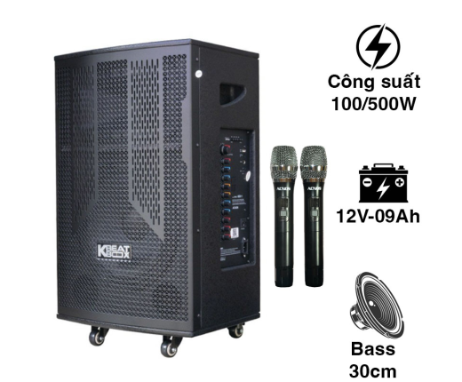 Loa ACNOS CB302G