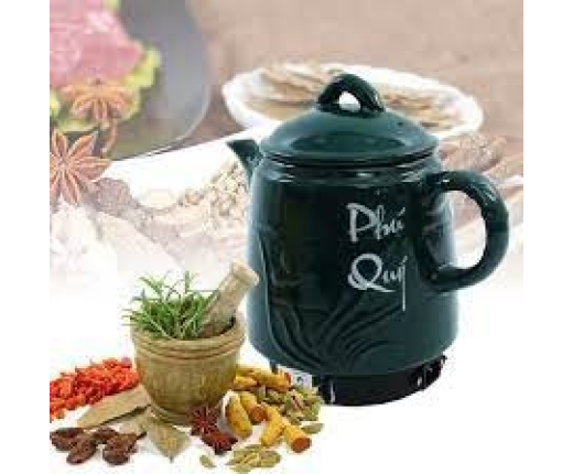 Siêu sắc thuốc điện phú quý PQ-81