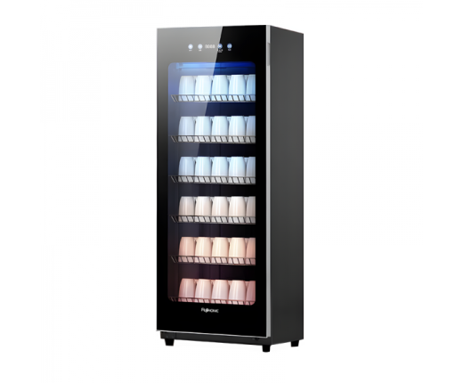 Tủ sấy chén bát tiệt trùng dung tích lớn Fujihome DD180