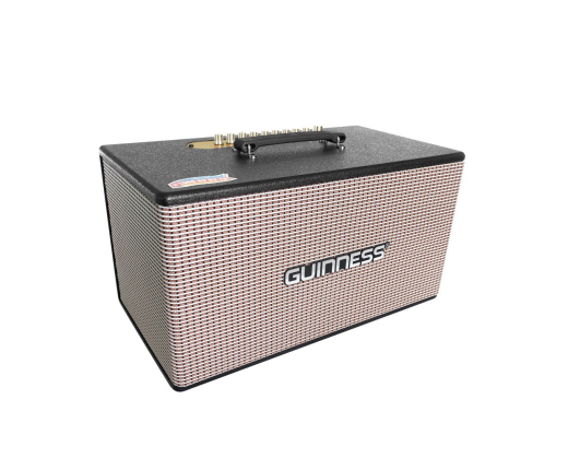 Loa GUINNESS GX - 305