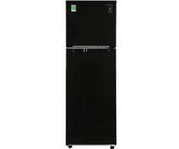 Tủ lạnh Samsung Inverter 256 lít RT25M4032BU/SV