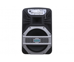 Loa kéo karaoke Rinton PL-2II