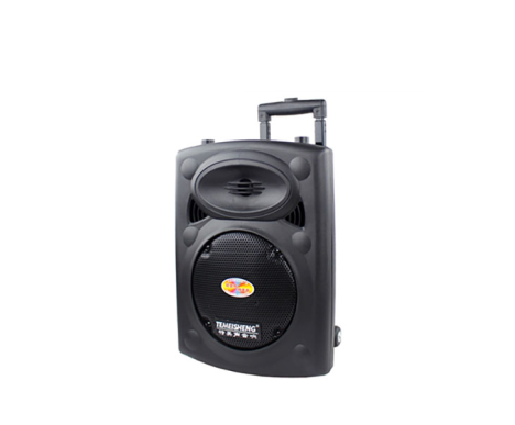 LOA KÉO TEMEISHENG DP-107