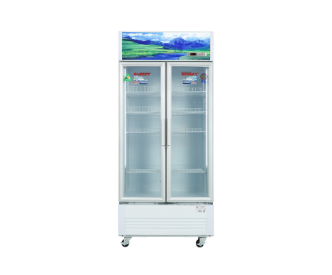 Tủ mát Sanaky Inverter 700 lít VH-8009HP3 
