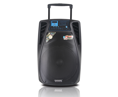 LOA KÉO TEMEISHENG SL-1502