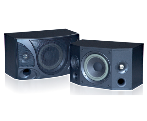 LOA RINTON PK-808