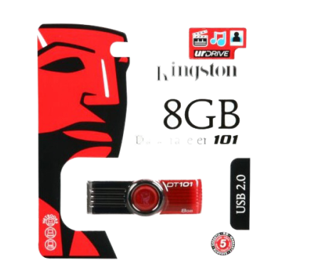 USB KINGSTON 8GB