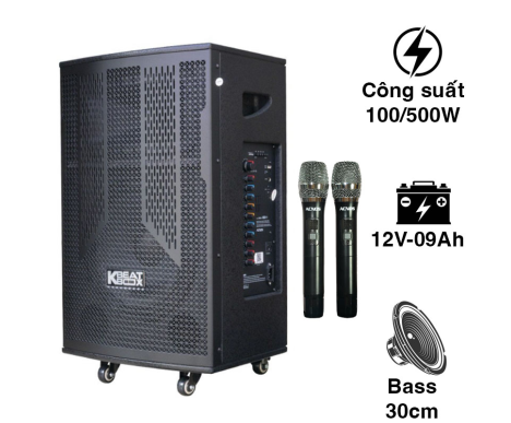 Loa ACNOS CB302G
