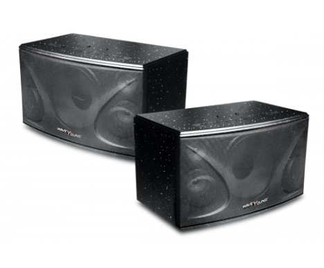 LOA WAVE YOUNG PS-802DL