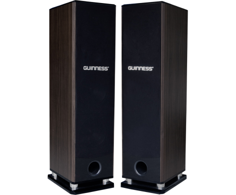 Loa Guinness SS-108