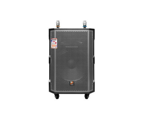 Loa kéo Prosing W18C 