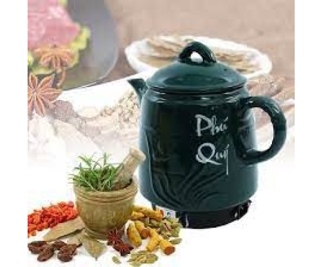 Siêu sắc thuốc điện phú quý PQ-81