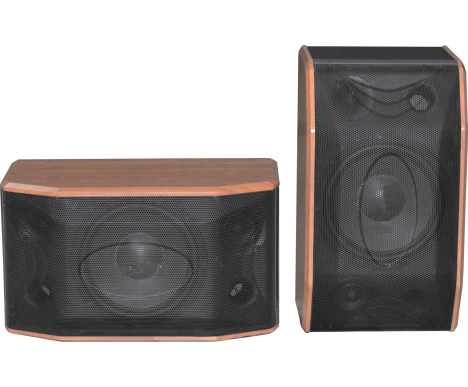 LOA RINTON RT-805