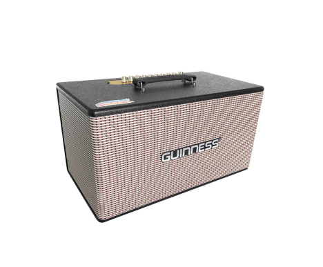 Loa GUINNESS GX - 305
