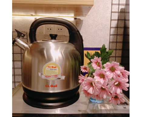 ẤM SIÊU TỐC GALI GL-0042A 4.2 LÍT